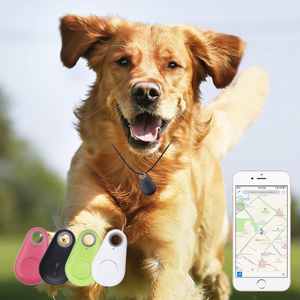 Mini GPS Bluetooth para Mascotas