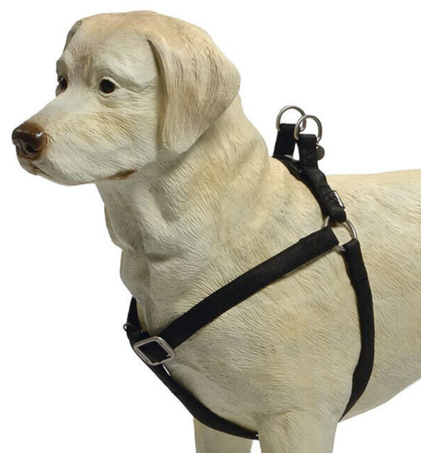 Arnés de Piel (MacLeather Dog Gear)